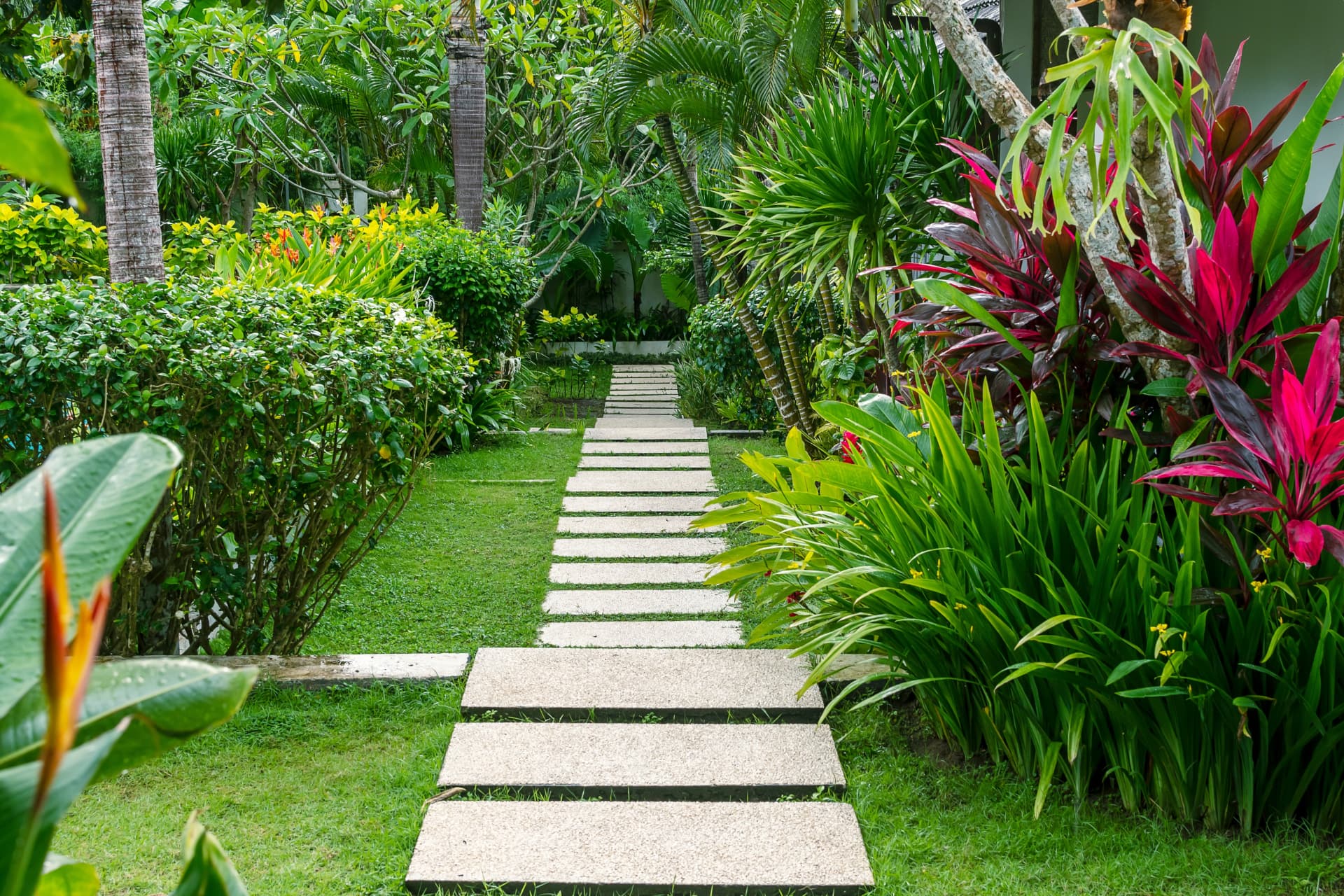 Caminho de pedras em meio ao paisagismo tropical, levando à nova casa
